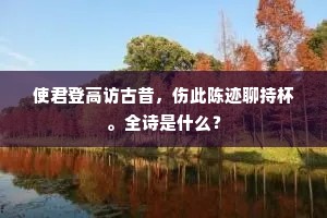 羌无故实成语的释义