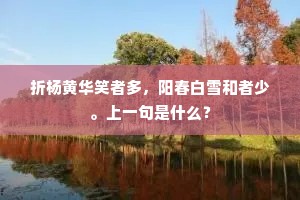 一束金莲微印月，香尘不动步凌波。的解释