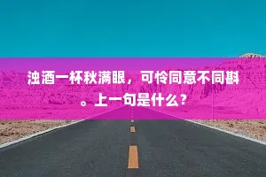 云奁初展晓光寒，幽思重重独舞鸾。的意思及出处