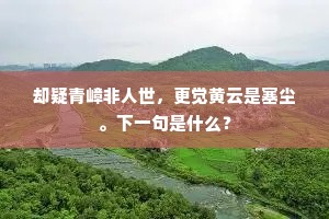 纫兰独抱灵均操，不带春风儿女花。下一句是什么？
