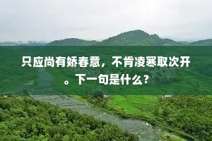 琼树无人敢亲近，章台京兆不胜愁。出自哪首诗？