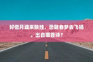 心事肯随流水尽，新愁不与酒尊宜。全诗是什么？