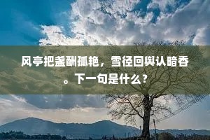 青梅已结梢头实，驿使难传陇外枝。全诗是什么？