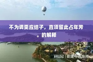 强作解人成语的解释
