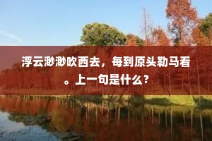跷足而待成语的解释