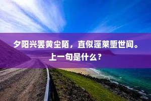 起来霜月白满天，淅沥蒹葭凉夜静。上一句是什么？