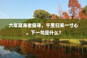 敲锣打鼓成语的拼音