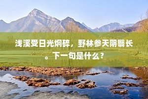 寒入关榆霜满天，铁衣马上枕戈眠。的释义