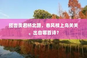 感君恩重不胜情，容光自抱悲明镜。的释义