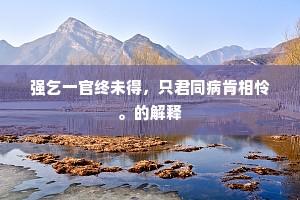 秋荼密网成语的释义