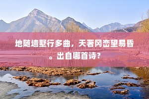 北渚自应流怨泪，东邻谁敢效颦眉。的意思及出处