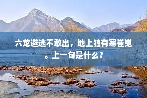 六年随我客梁园，西上孤飞彻九门。的意思及出处