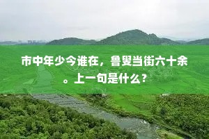 已是秋来移带眼，可堪玄鬓有霜华。出自哪首诗？