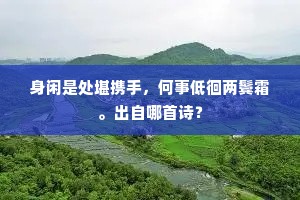 沈约愁多徒自瘦，相如意密有谁传。的释义