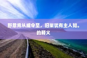 柔情绰态成语的释义