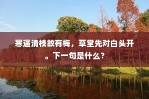 肉眼愚眉成语的解释