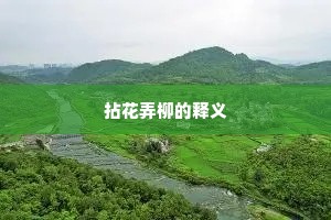 酒堪度日难为醉，诗怕伤时未可传。的释义