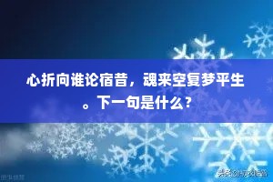 拔剑相看泪如雨，我作楚歌君楚舞。的释义