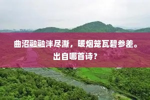 乱鸦啼散玉屏空，一枕新凉一扇风。下一句是什么？