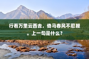绝怜墙角樱桃树，全似梅花雪后枝。的解释
