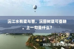三媒六证成语的解释