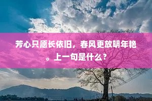沉沉芳酌动金波，笑引疏梅泛玉荷。的释义
