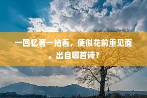 三心二意成语的拼音