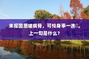 桑榆暮景成语的释义