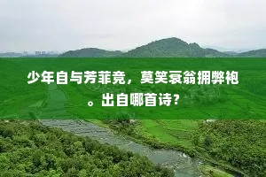 去年鼠齧涪翁文，今年火攻少陵诗。下一句是什么？