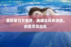 我之所嗜何足计，上有先墨颜之姿。的意思及出处