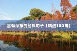 大海治愈情感文案（精选40句）