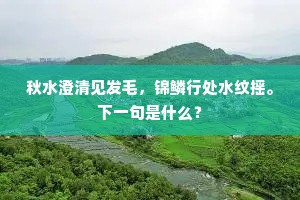 三人行，必有我师成语的解释