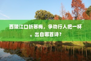 菊汤瀹茗杂鼠蓂，瓦炉欲作风泠泠。全诗是什么？