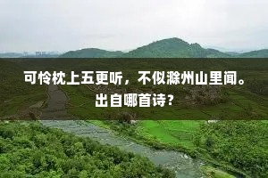 朝来数点初蔌蔌，势压黄昏成霡霂。的释义