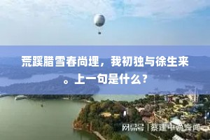 髯孙知我此书爱，遗我殷勤意何在。的释义