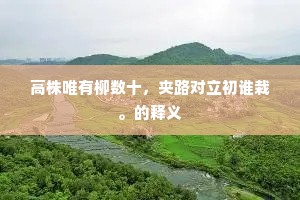 三天打鱼，两天晒网成语的释义