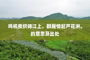 不是新来苦耽酒，舍渠何以尉支离。的意思及出处