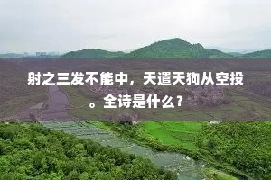 欲将何以慰无赖，一酌浊醪如有神。的释义