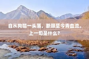 作诗有病谁与说，读书有疑谁与决。出自哪首诗？