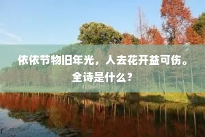 狂余更欲谁送似，咫尺知音稼轩是。出自哪首诗？