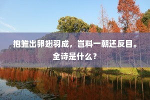 我曹所乐虽小技，历古更今不能废。出自哪首诗？