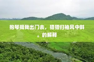 金声讵须掷地出，隐隐自杂山风哀。全诗是什么？