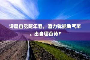 吾曹用意果痴绝，非尔何以娱岁月。下一句是什么？