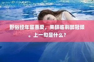 梅花佳处我不识，付与二妙烦追摹。的意思及出处