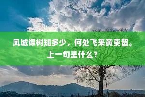 可怜籍湜今头白，空复挂名家集中。的释义