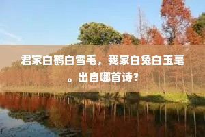 谁怜病叟寒窗底，独拥残灰整旧编。上一句是什么？