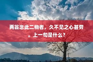 昨宵已辨雪中灯，今日晴来聊记曾。的释义