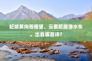 深藏若虚成语的释义