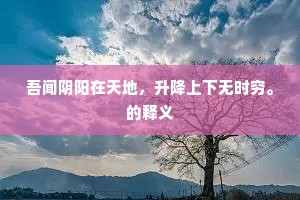 神摇意夺成语的释义