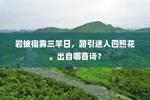 浦口江头艇子呼，有怀逸兴恐成孤。下一句是什么？